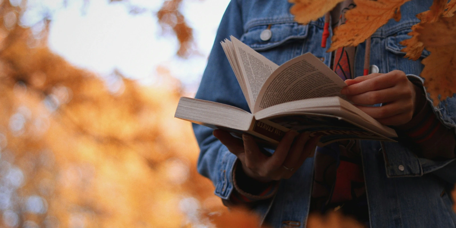 BUT Info-Com au Havre : Un Choix Gagnant