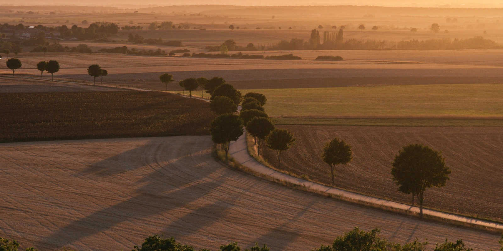 Focus sur le Parcours Communication des Organisations